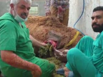 Veterinarian removes 50 kg of plastic from camel’s belly in Oman