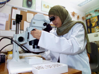 Omani women’s role in public, private sector applauded