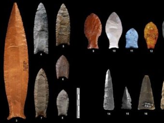 Archaeologists discover 8,000-year-old fluted stone tools in Oman