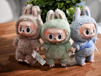 The Feed November 16th