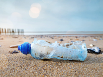 The Feed November 2nd