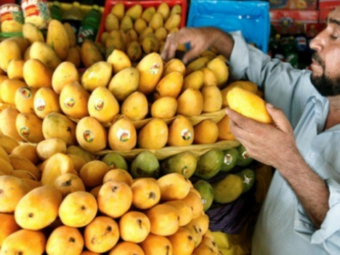 The best mangoes come from…..