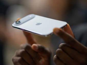 The Feed November 11th